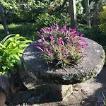 Santiagofamilyhouse - Casa Velha - * Sever do Vouga