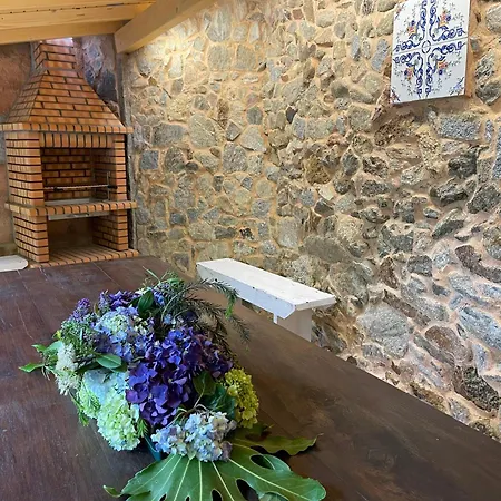 Holiday home Casa Velha-santiagofamilyhouse Sever do Vouga