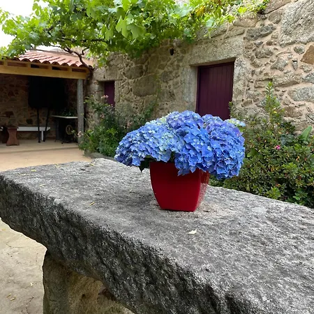 Santiagofamilyhouse - Casa Velha - Holiday home *