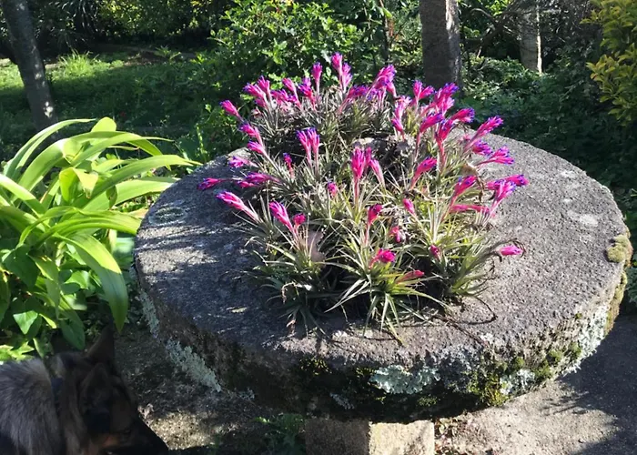 Casa Velha-santiagofamilyhouse * Sever do Vouga